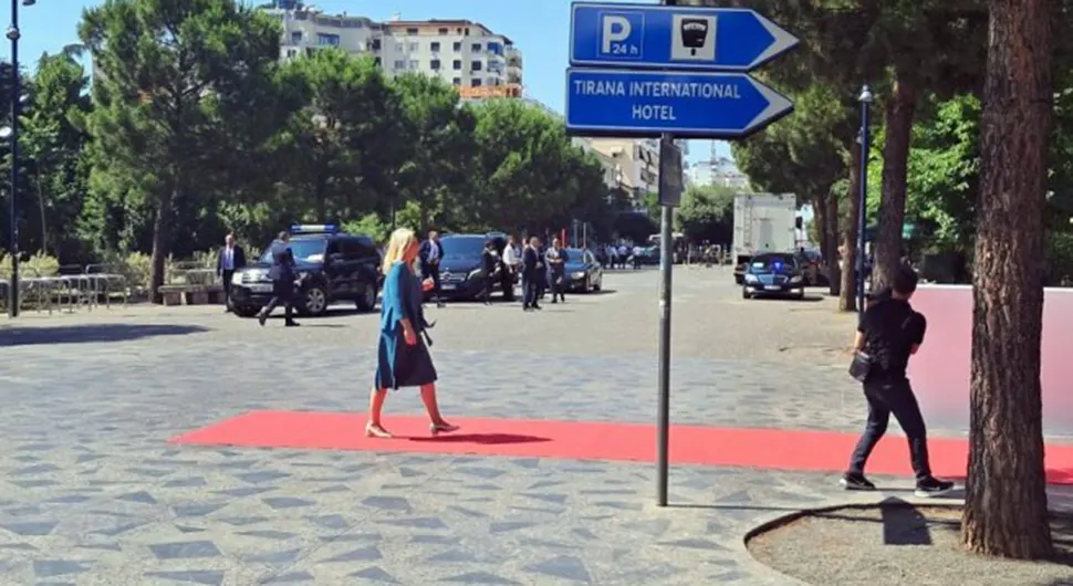 tirana cvijanovic.webp